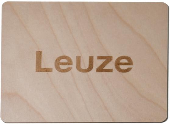 Eiskratzer Holz