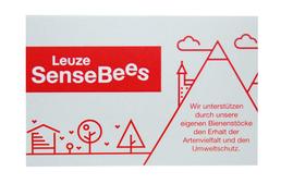 Samen-Mischung Bienenwiese